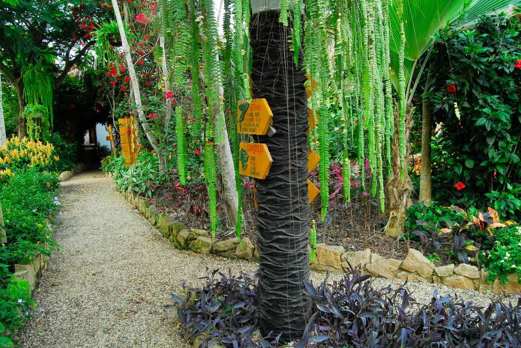 Hosteria Mandala Puerto Lopez Bagian luar foto