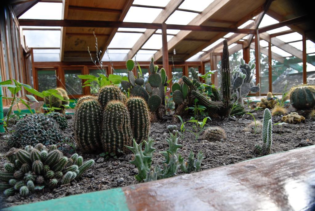 Hosteria Mandala Puerto Lopez Bagian luar foto