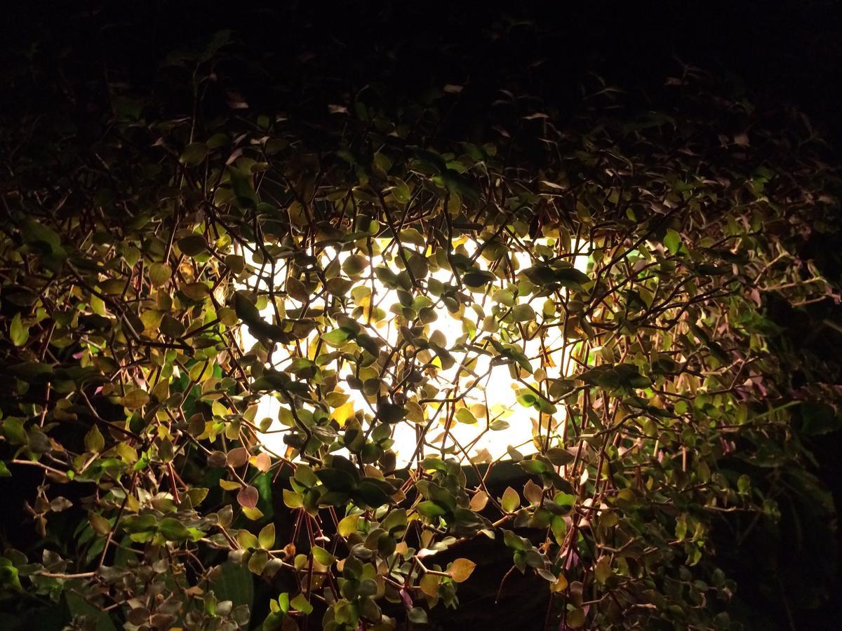 Hosteria Mandala Puerto Lopez Bagian luar foto